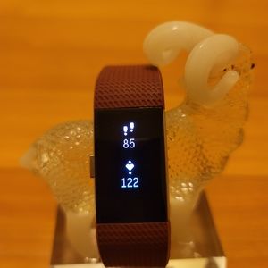 Fitbit charge 2